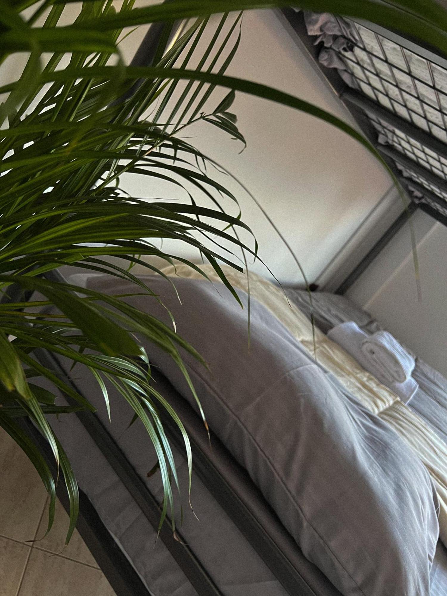 Hostel By Fenix Tiranë Ngoại thất bức ảnh