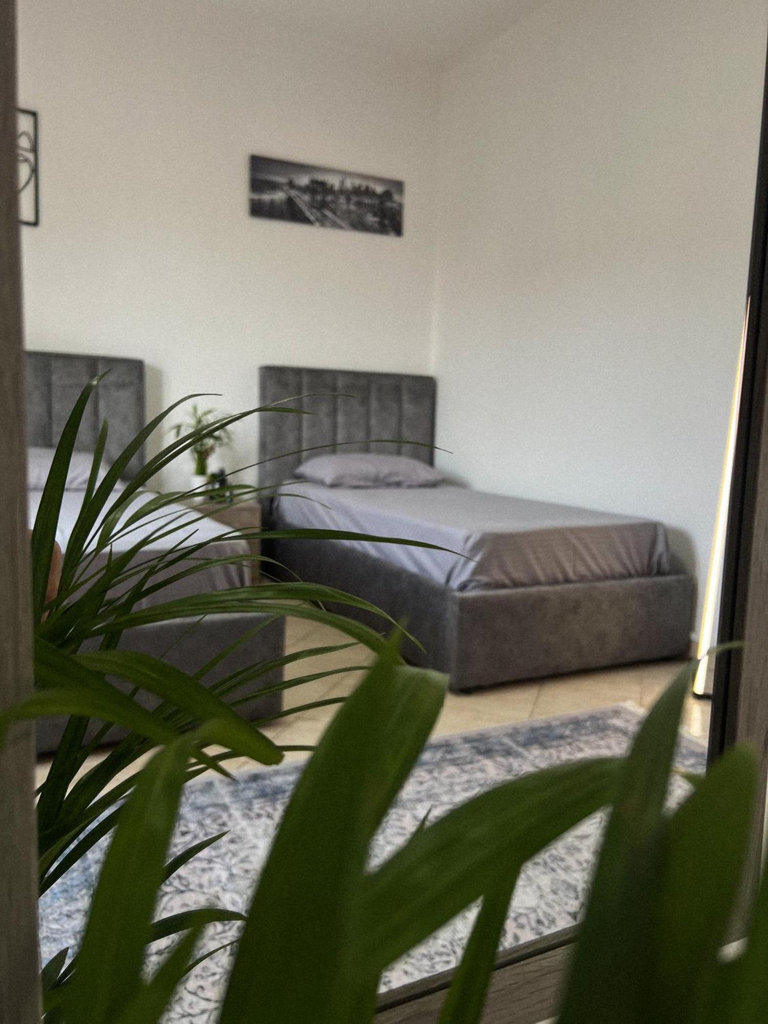 Hostel By Fenix Tiranë Ngoại thất bức ảnh