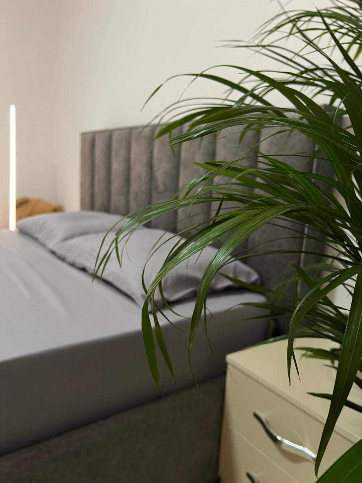 Hostel By Fenix Tiranë Ngoại thất bức ảnh